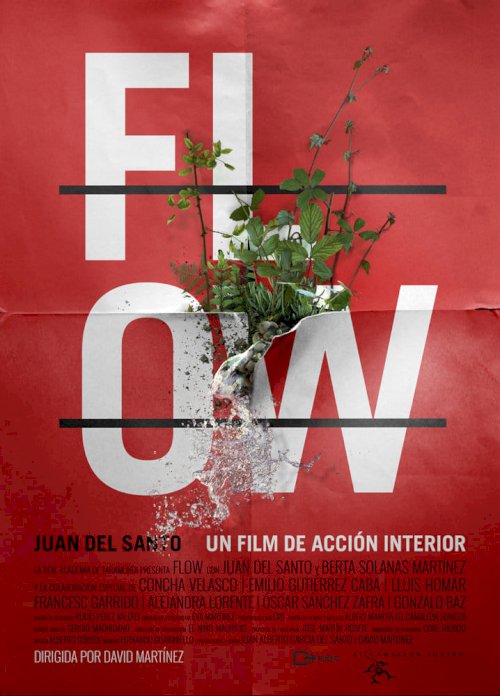 Flow Flow