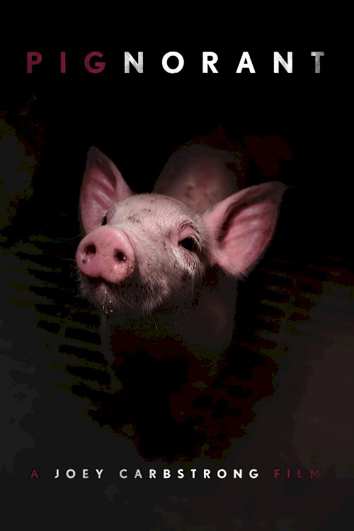 Pignorant Pignorant