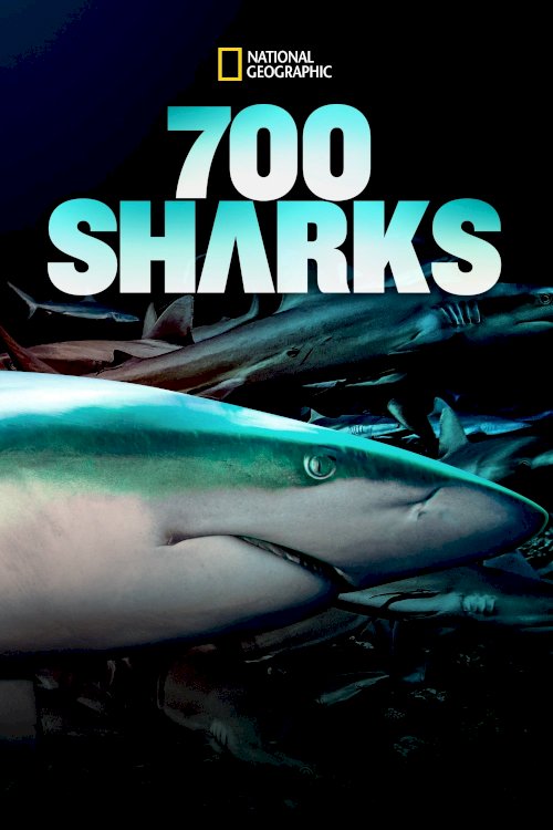 700 Sharks 700 Sharks