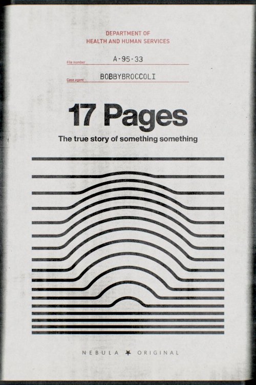 17 Pages 17 Pages