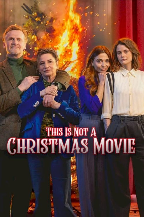 This Is Not a Christmas Movie This Is Not a Christmas Movie