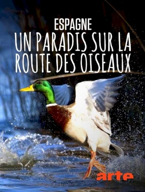 Espagne : un paradis sur la route des oiseaux Espagne : un paradis sur la route des oiseaux
