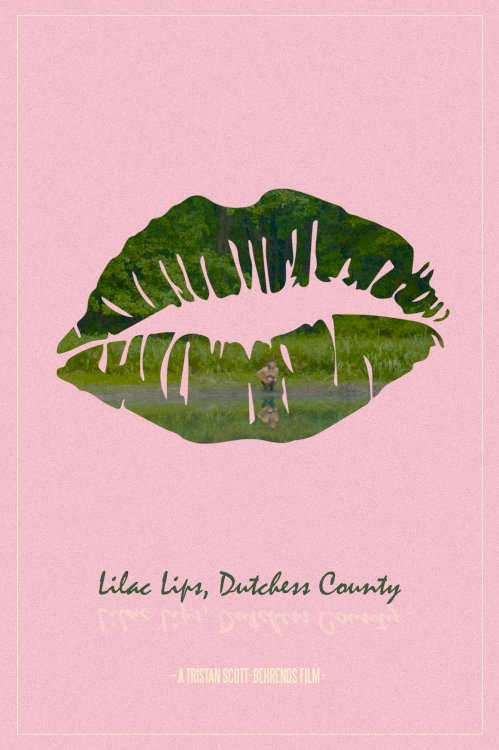 Lilac Lips, Dutchess County Lilac Lips, Dutchess County