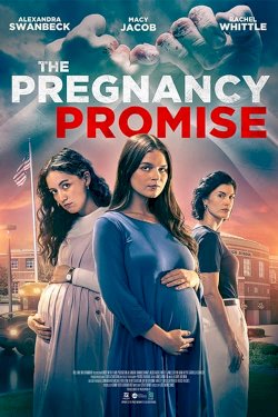 The Pregnancy Promise The Pregnancy Promise