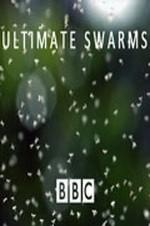 Ultimate Swarms Ultimate Swarms