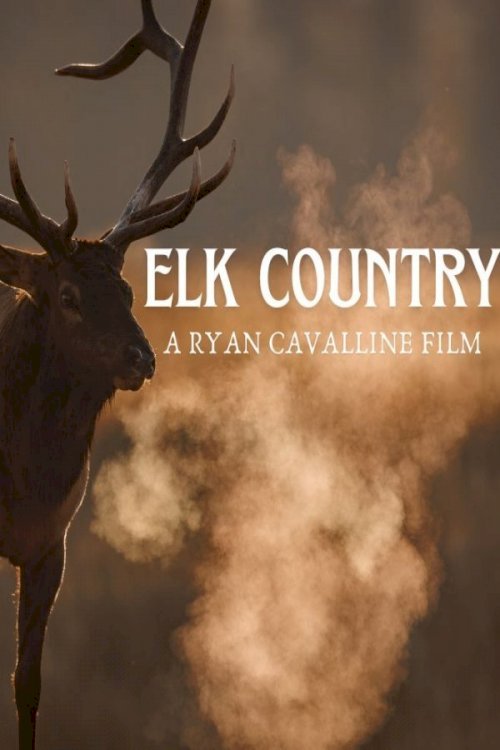 Elk Country Elk Country