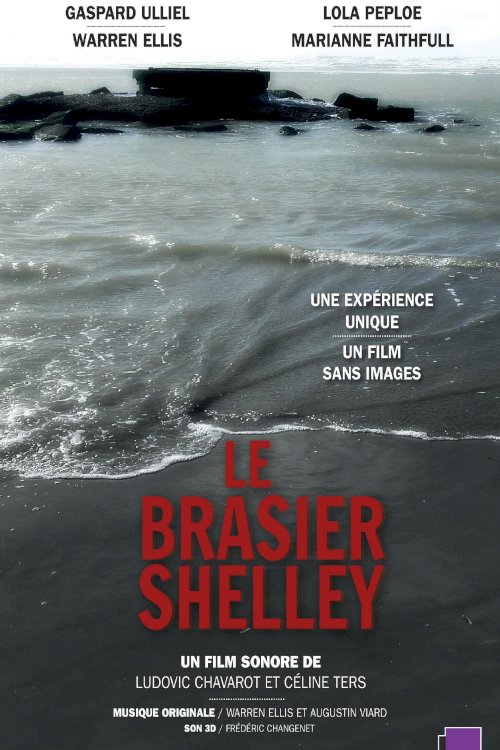 Shelley's Blaze Shelley's Blaze