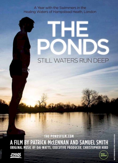 The Ponds The Ponds