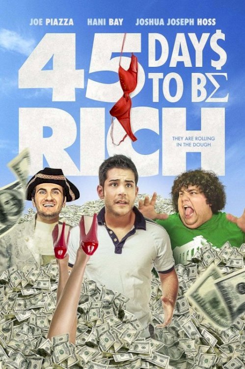 45 Days to Be Rich
