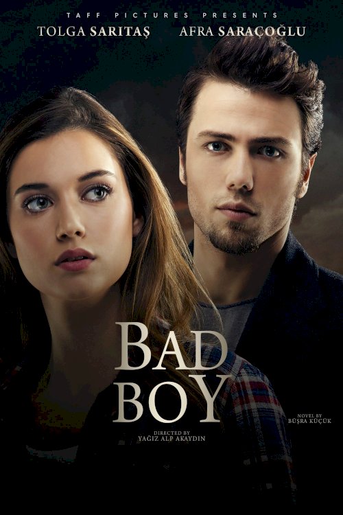 Bad Boy Bad Boy