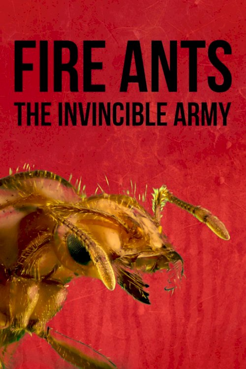 Fire Ants 3D: The Invincible Army Fire Ants 3D: The Invincible Army
