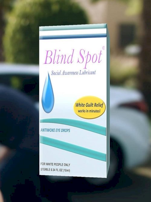 Blind Spot Blind Spot