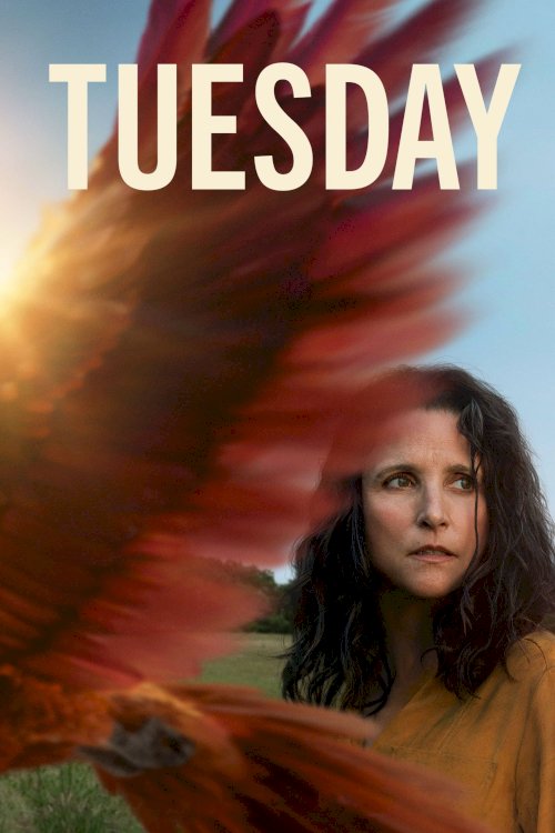 Tuesday Tuesday