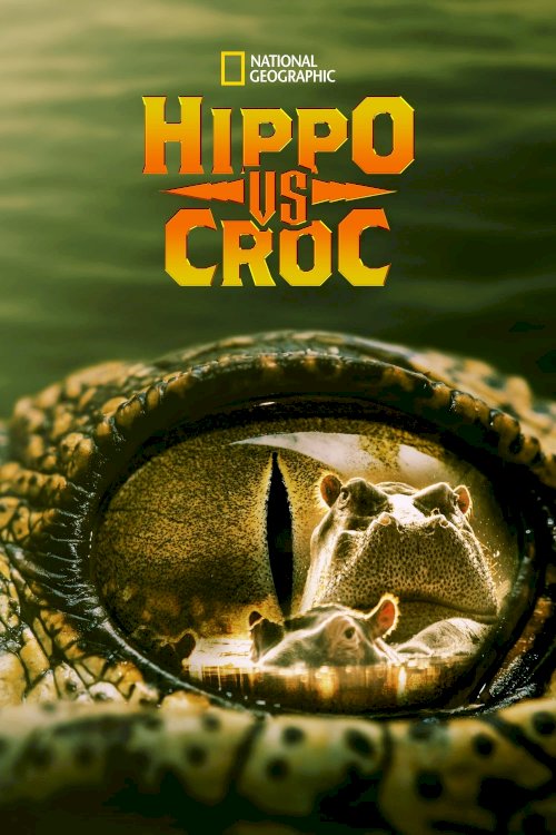 Hippo vs Croc Hippo vs Croc