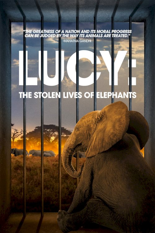 Lucy: The Stolen Lives of Elephants Lucy: The Stolen Lives of Elephants