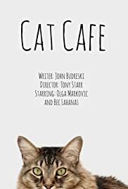 Cat Cafe Cat Cafe