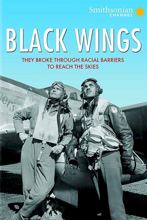 Black Wings Black Wings