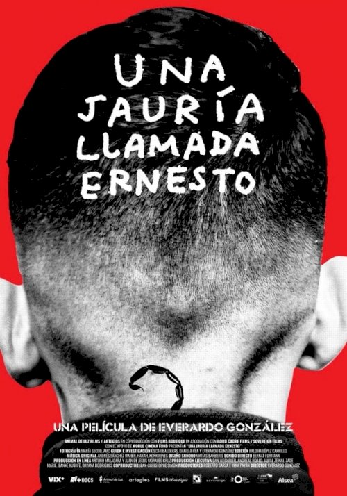 A Wolfpack Called Ernesto A Wolfpack Called Ernesto