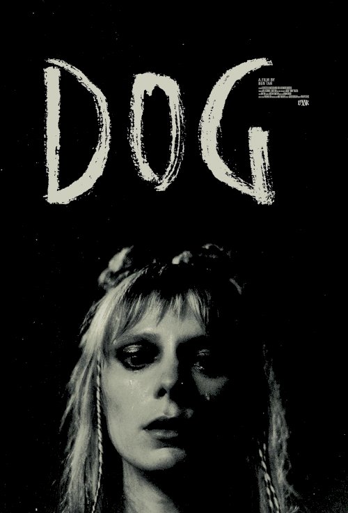 Dog Dog