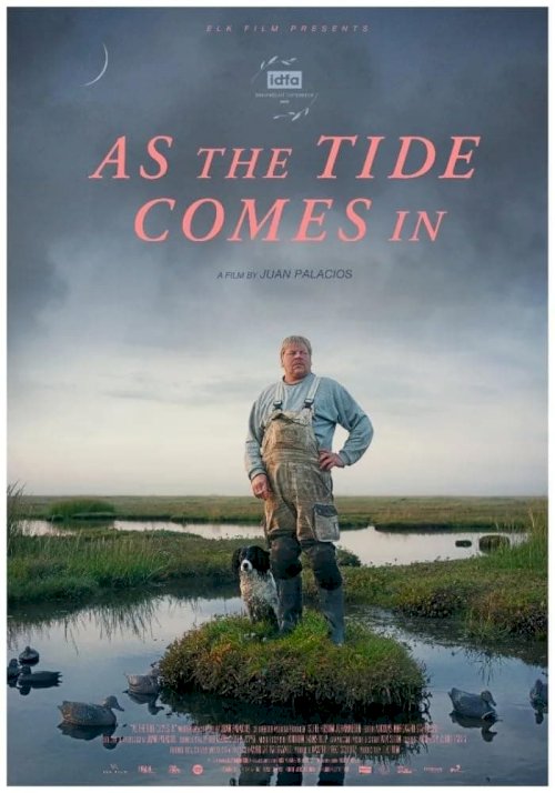 As The Tide Comes In As The Tide Comes In