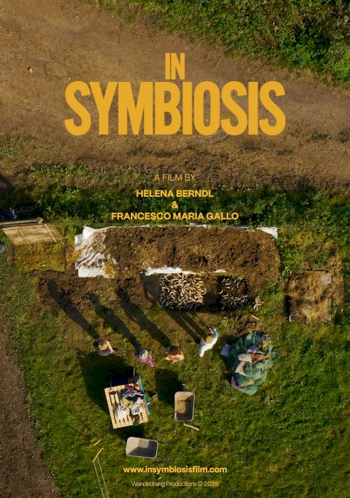 In Symbiosis In Symbiosis