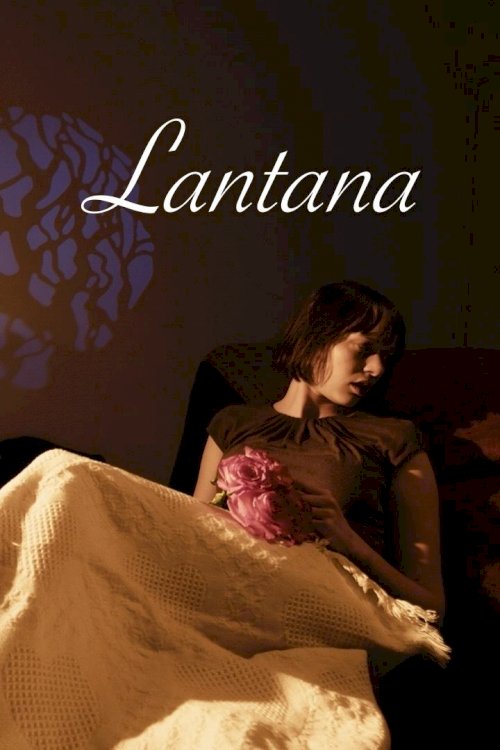 Lantana Lantana