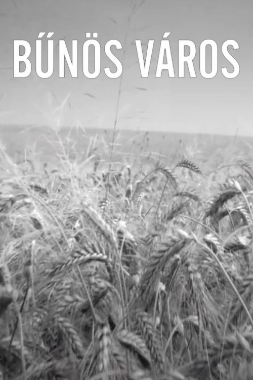Bűnös Város Bűnös Város