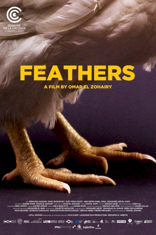 Feathers Feathers