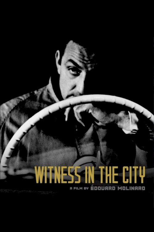 Witness in the City Witness in the City
