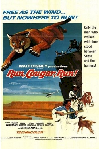 Run, Cougar, Run Run, Cougar, Run