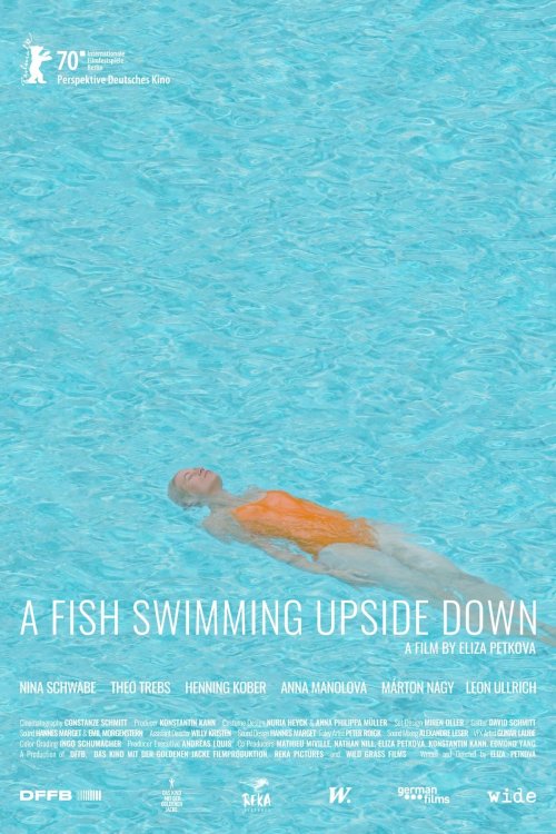 A Fish Swimming Upside Down A Fish Swimming Upside Down