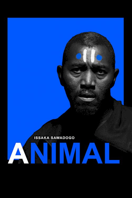 Animal Animal
