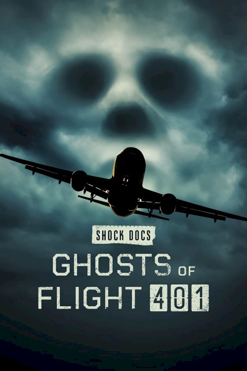 Ghosts of Flight 401 Ghosts of Flight 401
