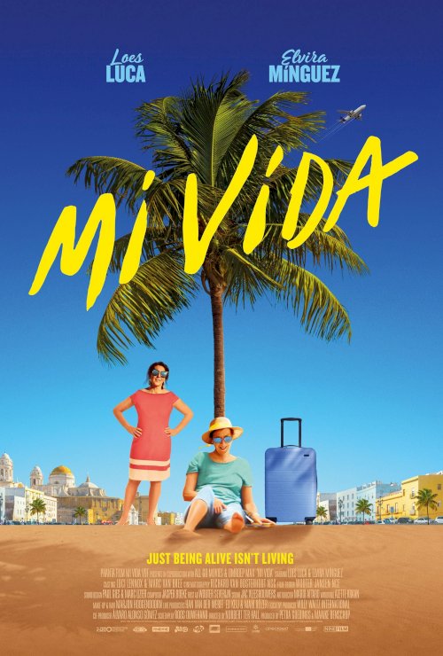 Mi Vida Mi Vida