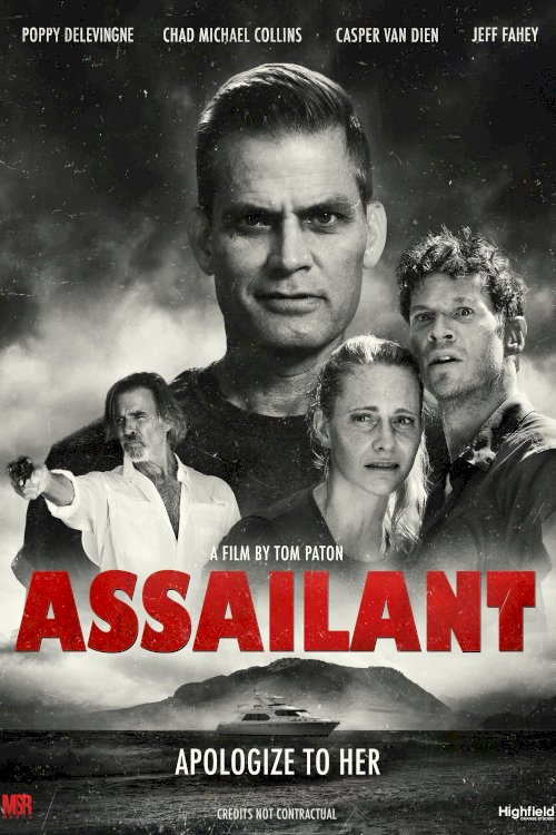Assailant Assailant