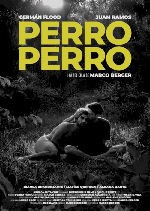Perro perro