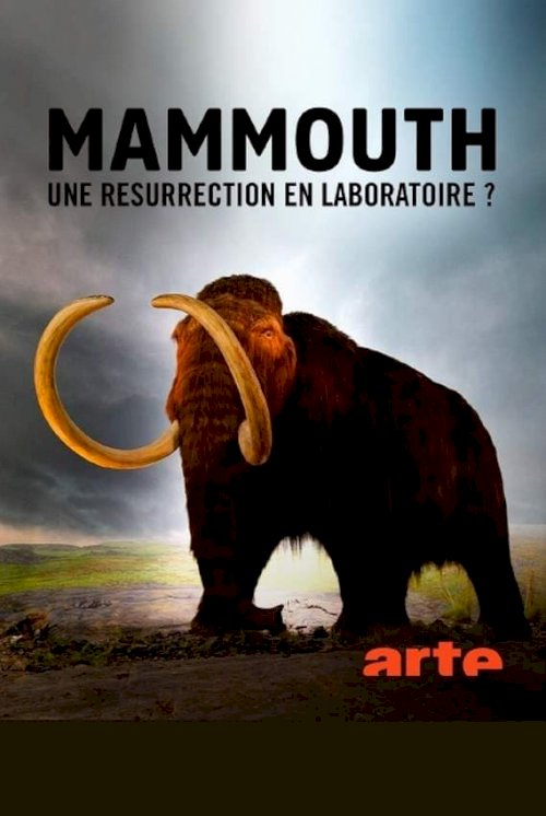 Le mammouth, une résurrection en laboratoire ? Le mammouth, une résurrection en laboratoire ?