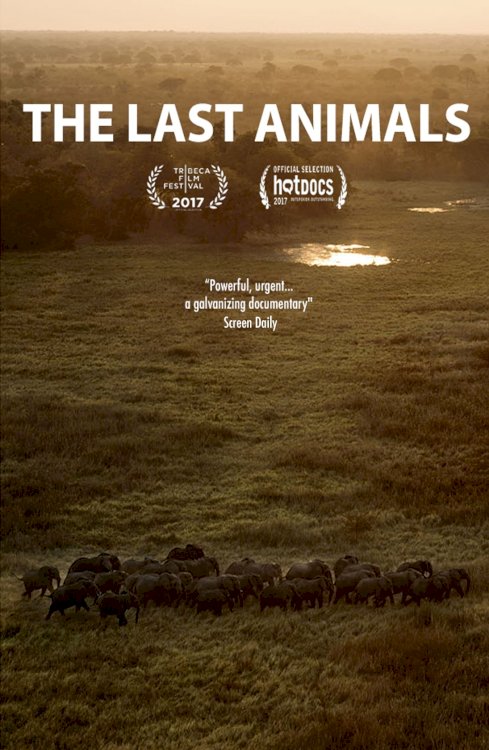 The Last Animals