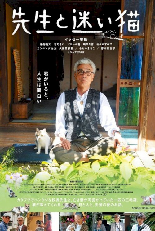 Teacher and Stray Cat Teacher and Stray Cat