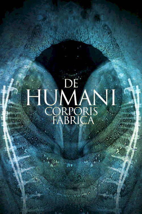 De Humani Corporis Fabrica De Humani Corporis Fabrica