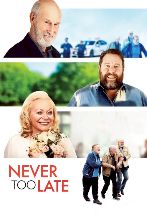 Never Too Late Never Too Late