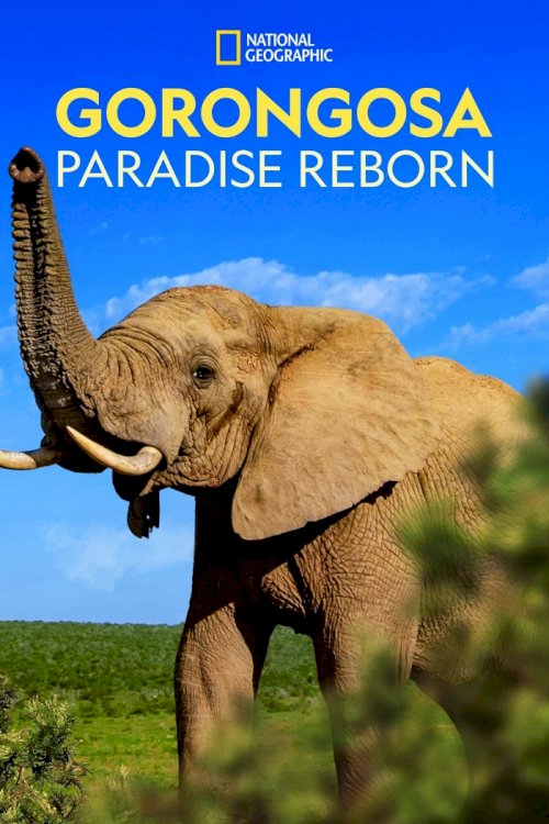 Gorongosa: Paradise Reborn Gorongosa: Paradise Reborn