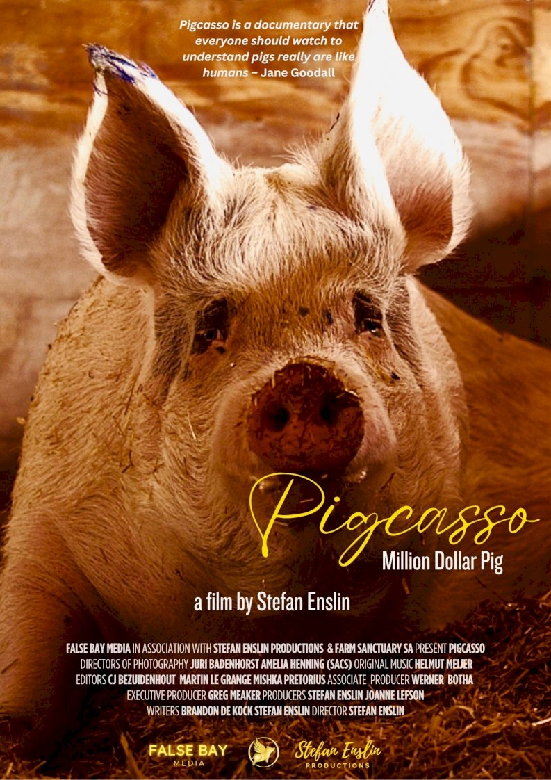 Pigcasso: Million Dollar Pig Pigcasso: Million Dollar Pig