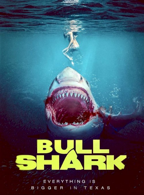 Bull Shark Bull Shark