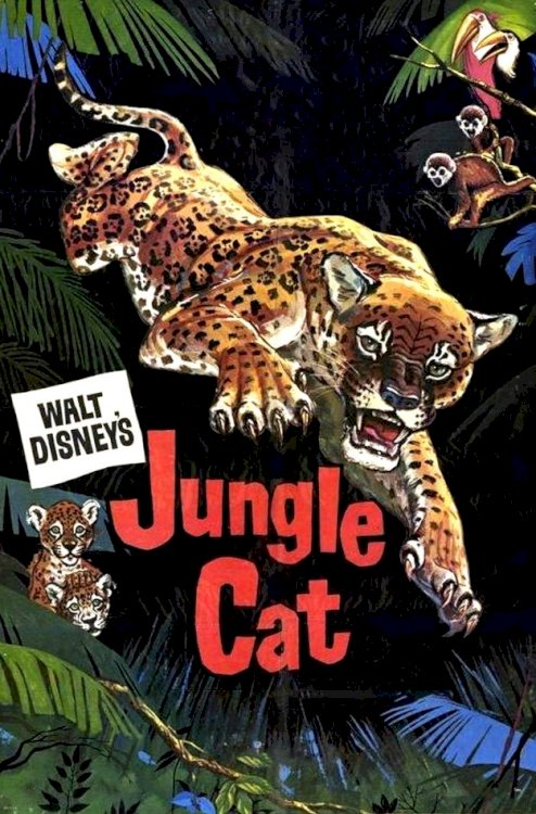 Jungle Cat Jungle Cat
