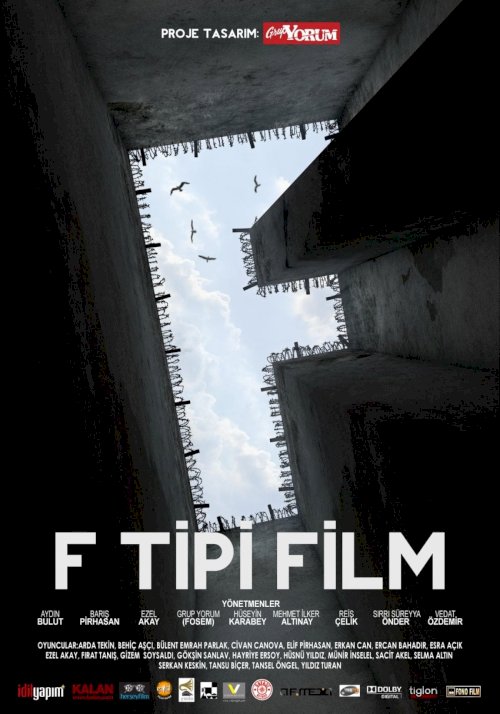 F Tipi Film F Tipi Film