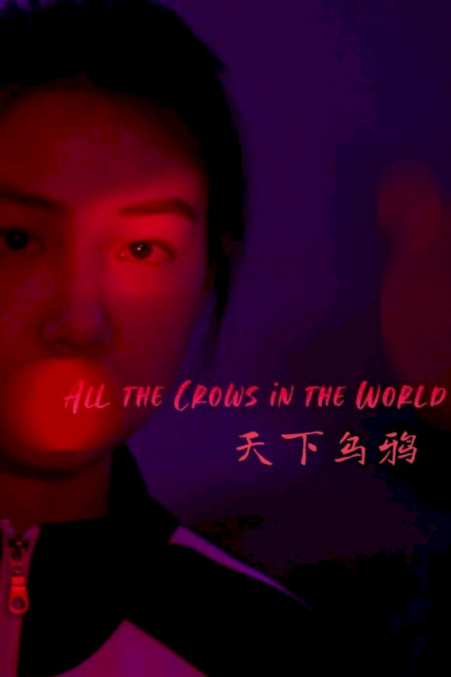 All the Crows in the World All the Crows in the World