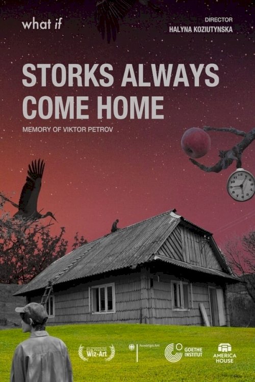 Storks Always Come Home Storks Always Come Home