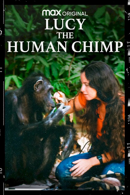 Lucy the Human Chimp
