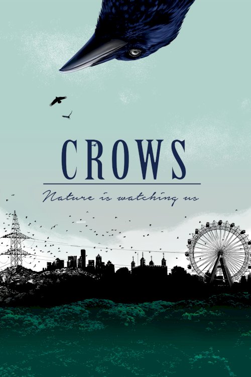 Crows - Nature Is Watching Us